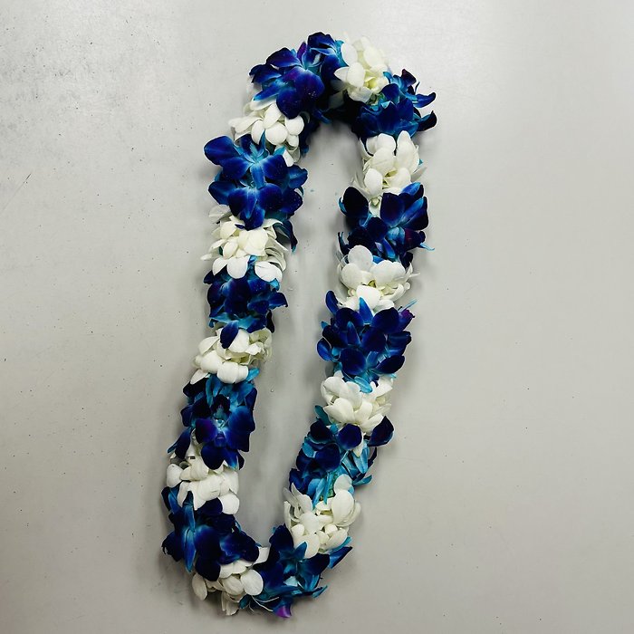 PREMIUM TINTED BLUE & WHITE SECTIONAL LEI