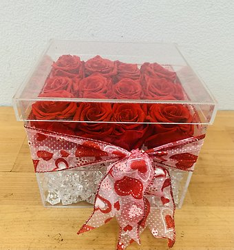 Dozen Premium Preserved Red Roses