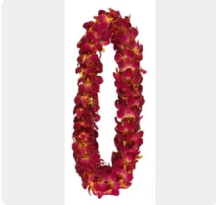 Premium Tinted Cardinal/Gold Dendrobium Orchid Lei