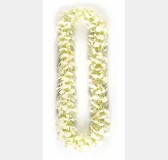Premium White Lei