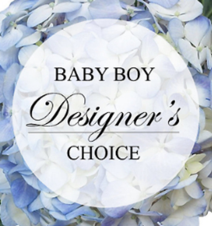 Baby Boy Designer\'s Choice #3