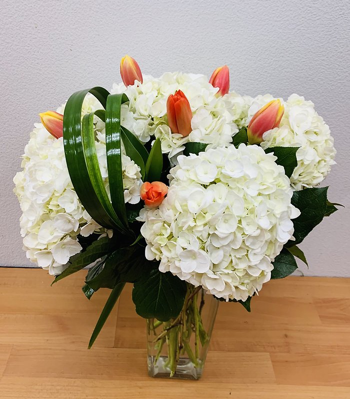 Tulip &amp; Hydrangea by Everblooming Floral &amp; Gift