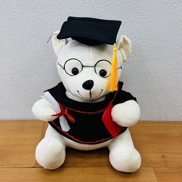 GRADUATION BEAR